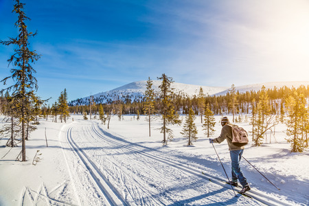 Panoramic view of male person cross-country skiing in Scandinavia in golden evening light at sunsetの写真素材