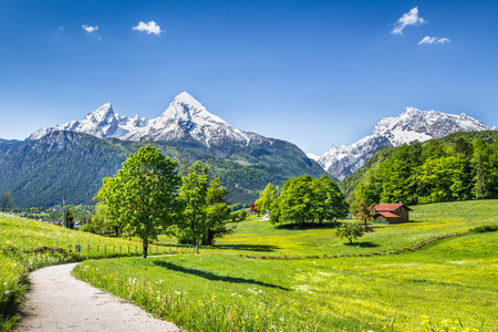 Idyllic summer landscape in the Alps, Nationalpark Berchtesgadener Land, Bavaria, Germanyの写真素材