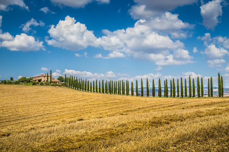 Beautiful Tuscany landscape with traditional farm house and dramatic clouds on a sunny day in Val d Orcia, Tuscany, Italyの写真素材