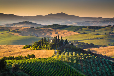 Scenic Tuscany landscape with rolling hills and valleys in golden morning light, Val d Orcia, Italy