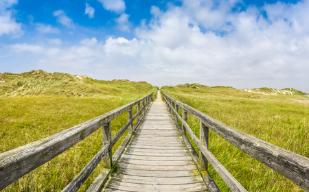 Idyllic wooden path in typical european nort sea dune landscape leading to the beach on a sunny day with beautiful cloudscapeの写真素材