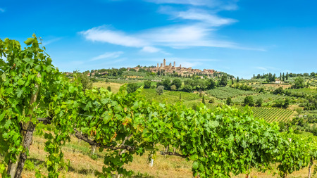Panoramic view of the medieval town of San Gimignano on a hill, Tuscany, Italyの写真素材
