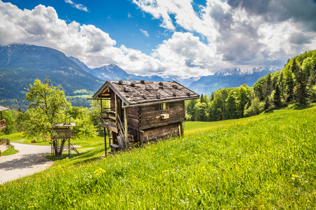 Panoramic view of idyllic mountain landscape in the Alps with fresh green mountain pastures, flowers and old traditional mountain lodge in springtimeの写真素材