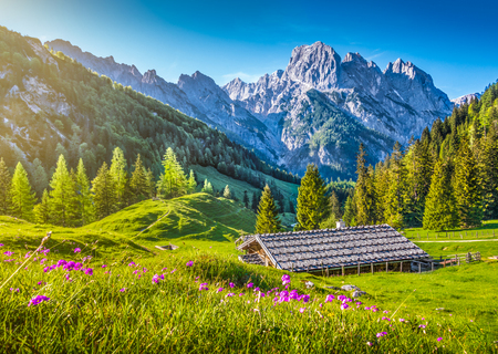 Idyllic landscape in the Alps with traditional mountain chalet and fresh green mountain pastures with blooming flowers at sunset, Nationalpark Berchtesgadener Land, Bavaria, Germanyの写真素材
