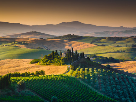 Scenic Tuscany landscape with rolling hills and valleys in golden morning light, Val d'Orcia, Italyの写真素材