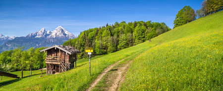 Panoramic view of idyllic mountain landscape in the Alps with hiking trail on fresh green mountain pastures, flowers and old traditional mountain lodge in springtimeの写真素材