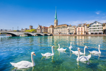 Beautiful view of the historic city center of Zurich with famous Fraumunster Church and swans on river Limmat on a sunny day with blue sky, Canton of Zurich, Switzerlandの写真素材
