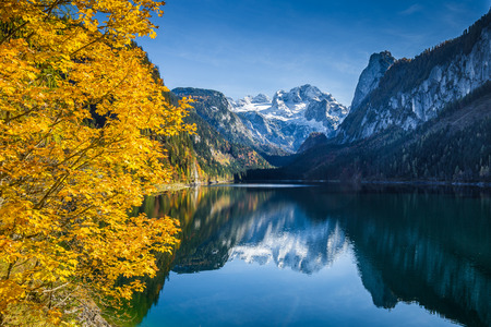 Beautiful view of idyllic colorful autumn scenery with Dachstein mountain summit reflecting in crystal clear Gosausee mountain lake in fall, Salzkammergut region, Upper Austria, Austriaの写真素材