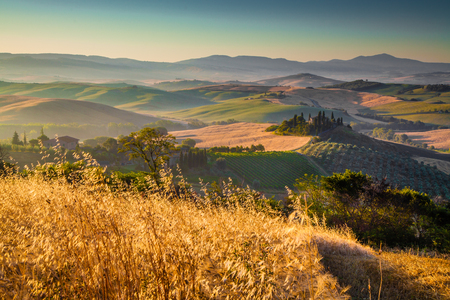 Scenic Tuscany landscape with rolling hills and harvest fields in golden morning light, Val d'Orcia, Italyの写真素材