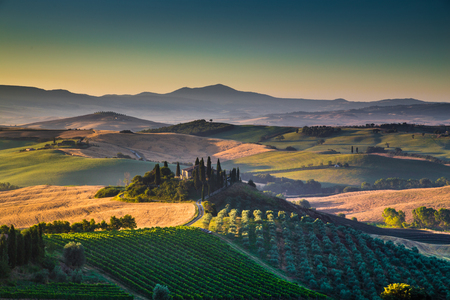 Scenic Tuscany landscape with rolling hills and valleys in golden morning light, Val d'Orcia, Italyの写真素材