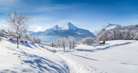 Beautiful winter scenery with trees and mountain tops in the Alps on a sunny day with blue sky and cloudsの写真素材