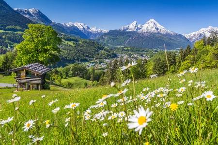 Idyllic mountain scenery in the Alps with traditional old mountain chalet and fresh green meadows in springtimeの写真素材