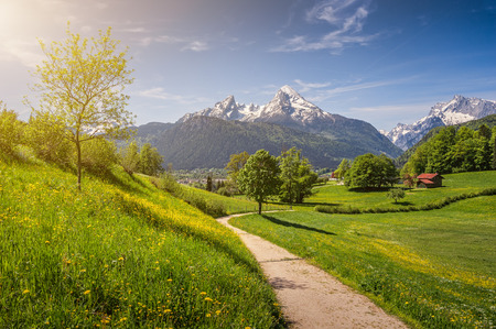 Idyllic landscape in the Alps with fresh green meadows, blooming flowers, typical farmhouses and snowcapped mountain tops in the background, Nationalpark Berchtesgadener Land, Bavaria, Germanyの写真素材