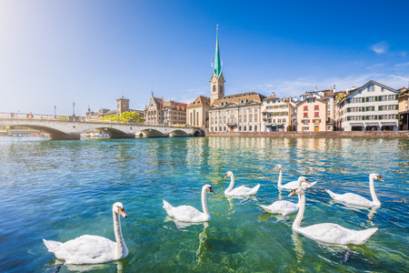 Beautiful view of the historic city center of Zurich with famous Fraumunster Church and swans on river Limmat on a sunny day with blue sky, Canton of Zurich, Switzerlandの写真素材
