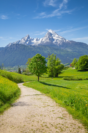 Beautiful view of idyllic mountain scenery in the Alps with hiking trail, fresh green mountain pastures and snow-capped mountain peaks in the background on a sunny day with blue sky in summerの写真素材
