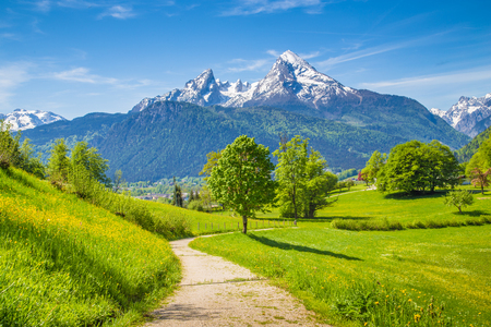 Idyllic landscape with hiking trail in the Alps with fresh green mountain pastures and snow-capped mountain tops in the background in summerの写真素材