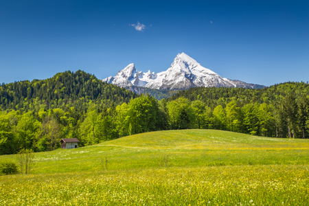 Beautiful view of idyllic alpine mountain scenery with blooming meadows and snowcapped mountain peaks on a beautiful sunny day with blue sky in springtimeの写真素材