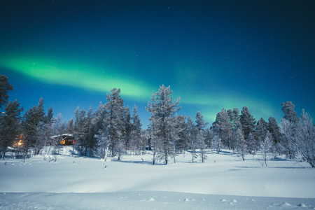 Panoramic view of amazing Aurora Borealis northern lights over beautiful winter wonderland scenery with trees and snow on a scenic cold night in Scandinavia, northern Europeの写真素材
