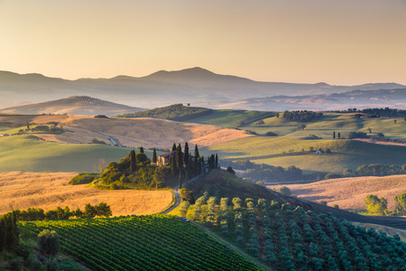 Classic view of scenic Tuscany landscape with famous farmhouse amidst idyllic rolling hills and valleys in beautiful golden morning light at sunrise in summer, Val d'Orcia, Italyの写真素材