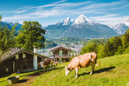 Beautiful panoramic view of idyllic alpine scenery with traditional mountainの写真素材