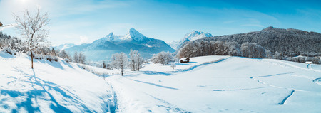 Beautiful winter scenery with trees and mountain tops in the Alps on a sunny day with blue sky and cloudsの写真素材