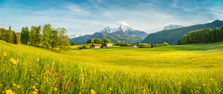 Beautiful view of idyllic alpine mountain scenery with blooming meadows and snowcapped mountain peaks on a beautiful sunny day with blue sky in springtime