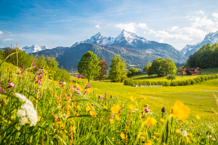 Beautiful view of idyllic alpine mountain scenery with blooming meadows and snowcapped mountain peaks on a beautiful sunny day with blue sky in springtimeの写真素材