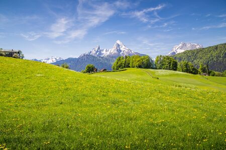 Beautiful view of idyllic alpine mountain scenery with blooming meadows and snowcapped mountain peaks on a beautiful sunny day with blue sky in springtimeの写真素材