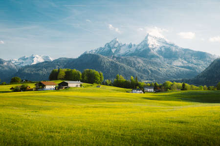 Beautiful view of idyllic alpine mountain scenery with blooming meadows and snowcapped mountain peaks on a beautiful sunny day with blue sky in springtimeの写真素材