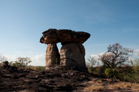 Monolithic giants,Ban Pa sun in Ubon Ratchathaniの写真素材