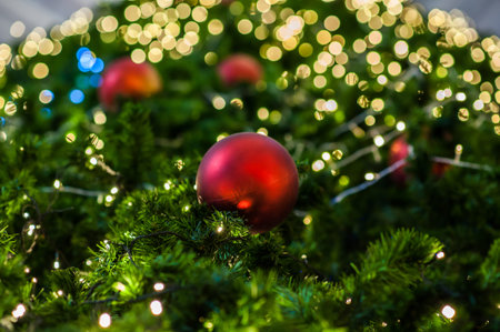 Closeup of Christmas-treeの写真素材