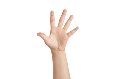 Hand isolated on white backgroundの写真素材