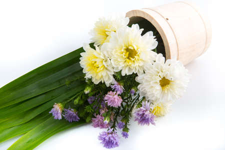 Colorful flowers in the wooden bucket on the white backgroundの写真素材