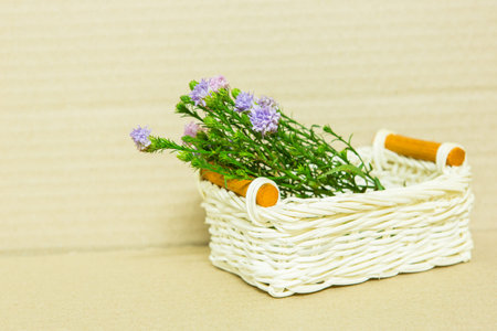 Colorful flowers in the wooden bucket on the white backgroundの写真素材