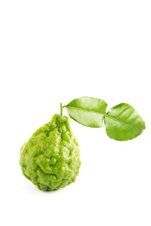 bergamot on the white backgroundの写真素材