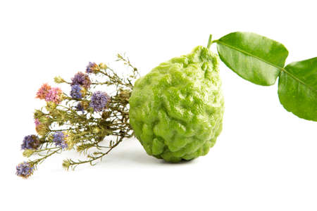 bergamot on the white backgroundの写真素材