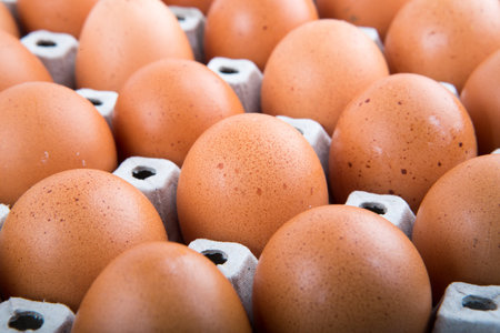 Eggs on the white background