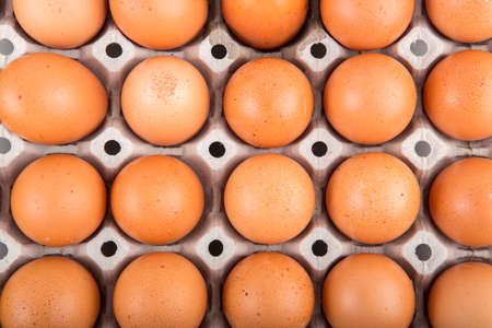 Eggs on the white backgroundの写真素材