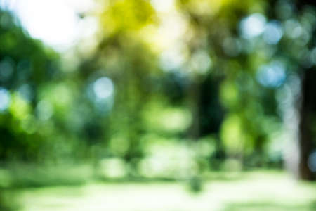Green bokeh from green leafの写真素材