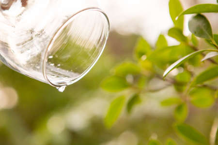 Dripping Water ,Drink water in glass over sunlight natural yello backgroundの写真素材