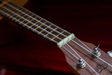 Close up ukulele oldの写真素材