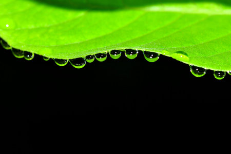 drop water