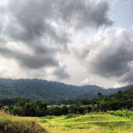 Landscape の素材
