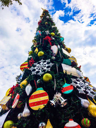 Chrismas tree on afternoonの素材