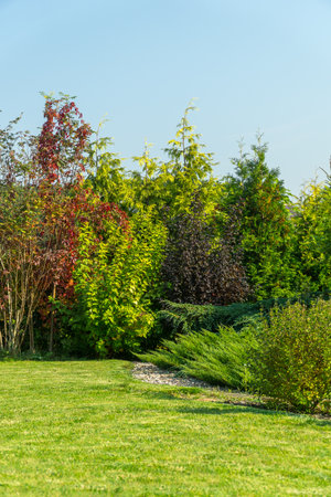 summer green garden or park in Polandの写真素材