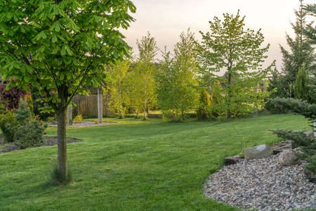 summer green garden or park in Polandの写真素材