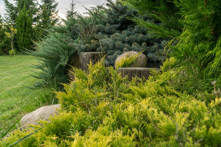 summer green garden or park in Polandの写真素材