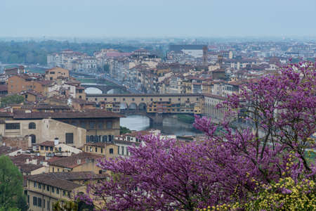 Panorama of the Italian city Florence with the golden bridge and the Duomo cathedralの写真素材