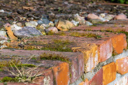 old brick wall with sprouting young grass in the gardenの写真素材