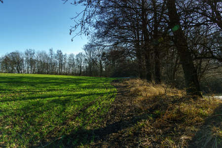 spring landscape in the field and by the lake near Pobiedziska in Greater Polandの写真素材
